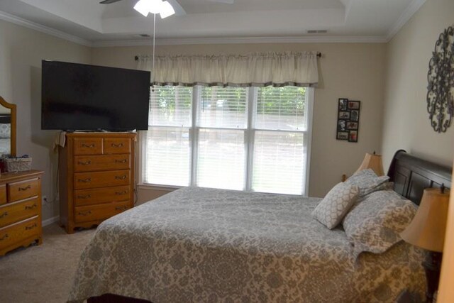 carpeted bedroom with ornamental molding, a tray ceiling, and multiple windows