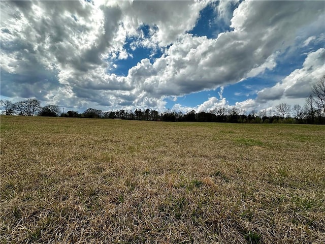 view of local wilderness featuring a rural view