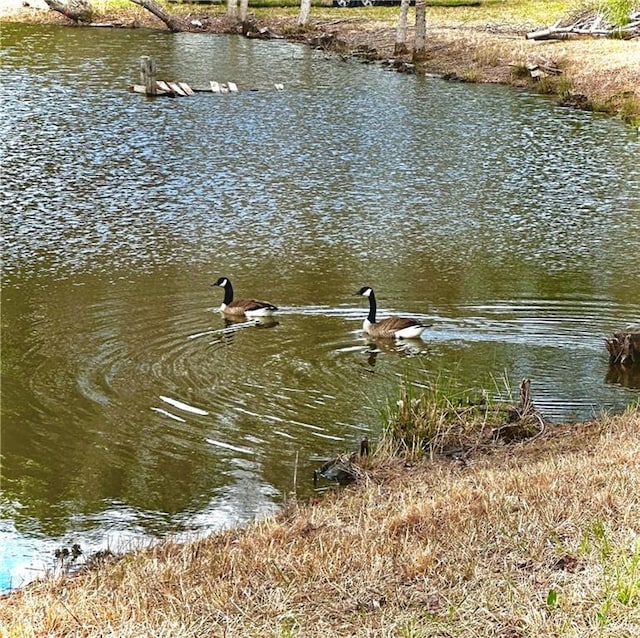 view of water feature