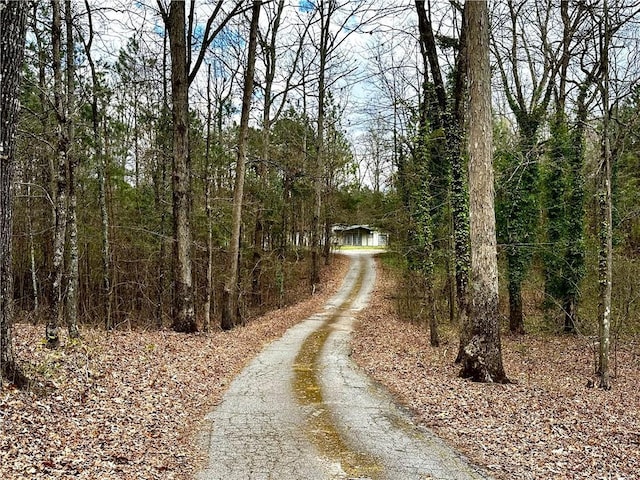 view of road with a forest view and driveway