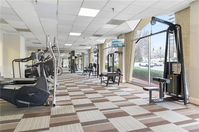 exercise room featuring a paneled ceiling and light colored carpet