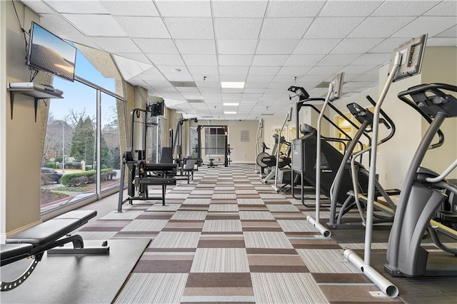 exercise room featuring a paneled ceiling and carpet