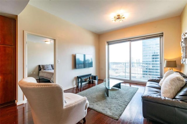 living room with dark hardwood / wood-style floors