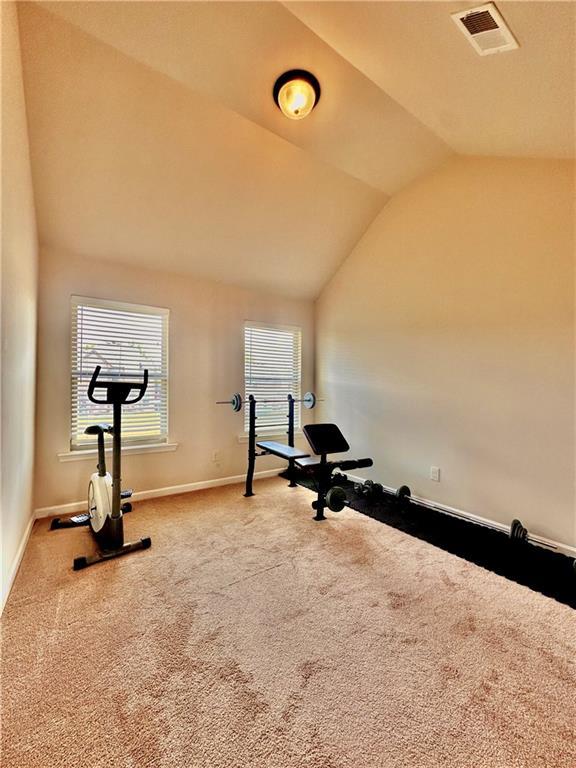 520 Harmony Way, Locust Grove, GA 30248 - exercise area featuring vaulted ceiling, carpet, and baseboards
