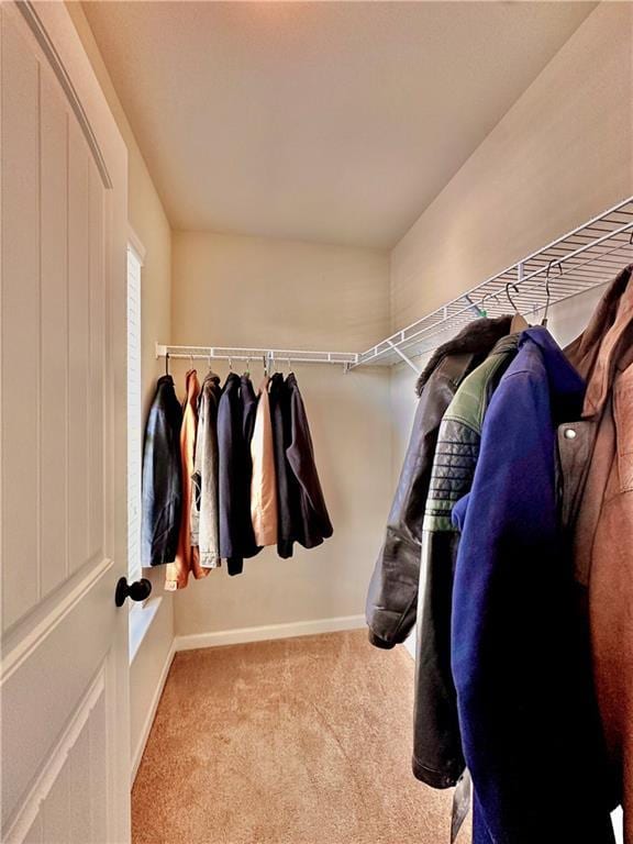 520 Harmony Way, Locust Grove, GA 30248 - walk in closet featuring carpet flooring