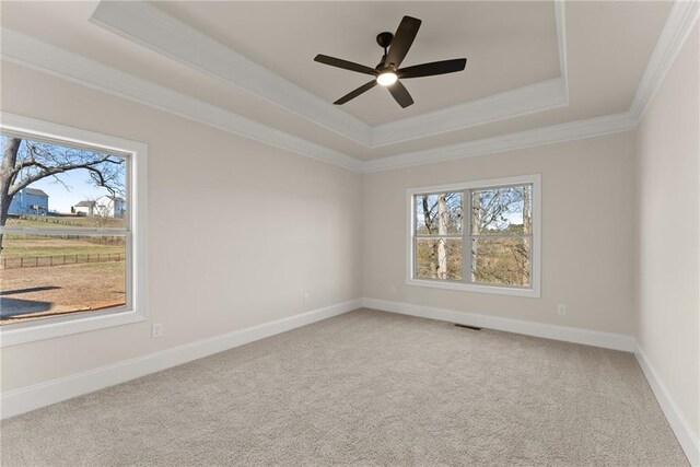 carpeted spare room with a raised ceiling, ceiling fan, and ornamental molding