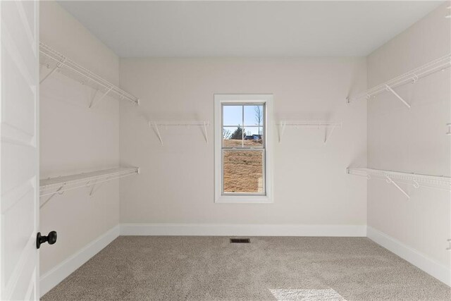 spacious closet with carpet