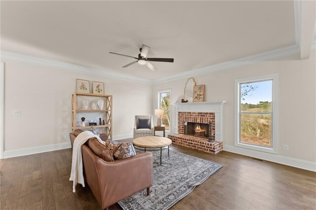 living room featuring ceiling fan, dark hardwood / wood-style flooring, crown molding, and a fireplace