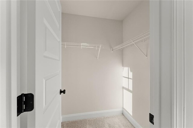 walk in closet with light colored carpet