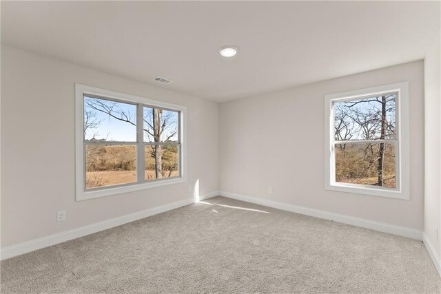 carpeted spare room with plenty of natural light