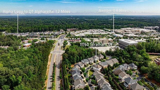 11760 Stratham Dr, Alpharetta, GA 30009 - drone / aerial view of a forest