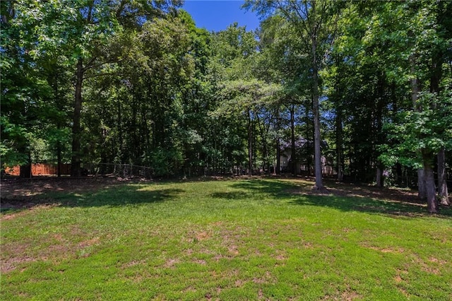 1406 Windy Ridge Ct SE, Conyers, GA 30013 - view of yard
