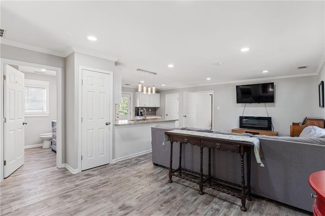 living room with light hardwood / wood-style flooring and ornamental molding