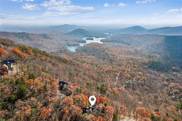 view of mountain feature with a forest view and a water view