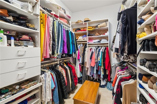 view of spacious closet