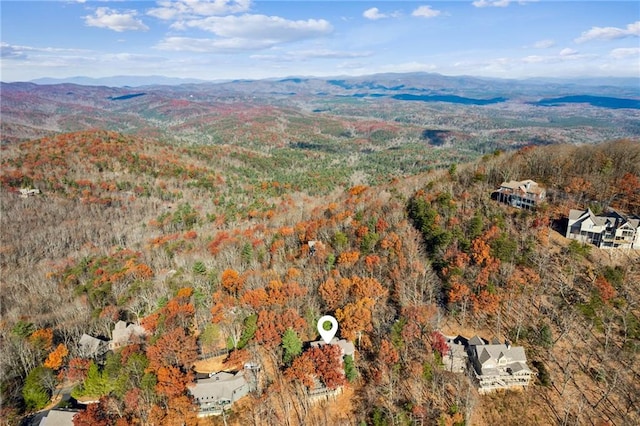 aerial view with a mountain view