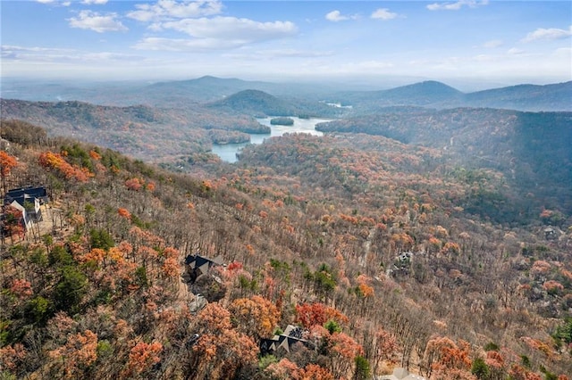 property view of mountains with a water view