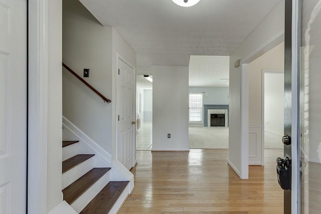 foyer with a fireplace and light hardwood / wood-style flooring