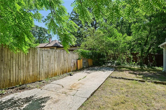 view of yard featuring a patio area