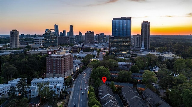 3663 Brookhaven Manor Xing NE, Atlanta, GA 30319 - skyline view