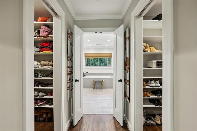 walk in closet featuring dark wood-style floors
