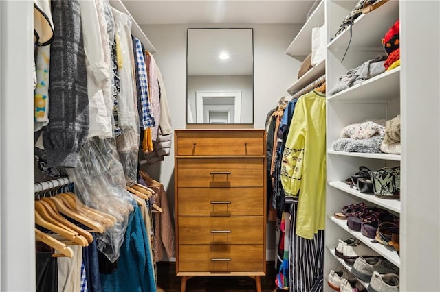 walk in closet featuring wood finished floors