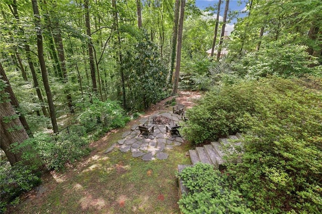 view of local wilderness featuring a view of trees