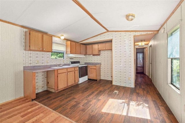 kitchen featuring dark hardwood / wood-style floors, a wealth of natural light, lofted ceiling, and electric stove