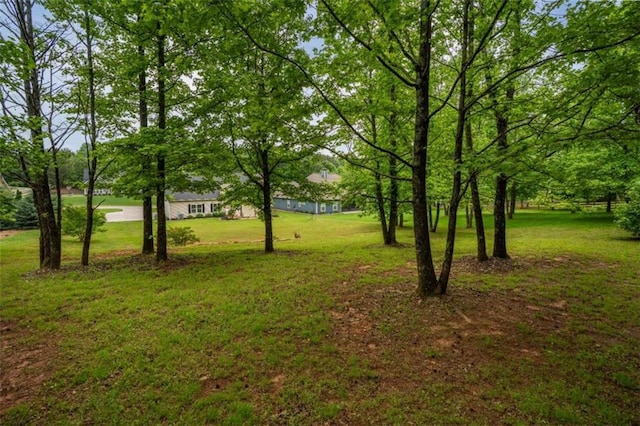 view of grassy yard