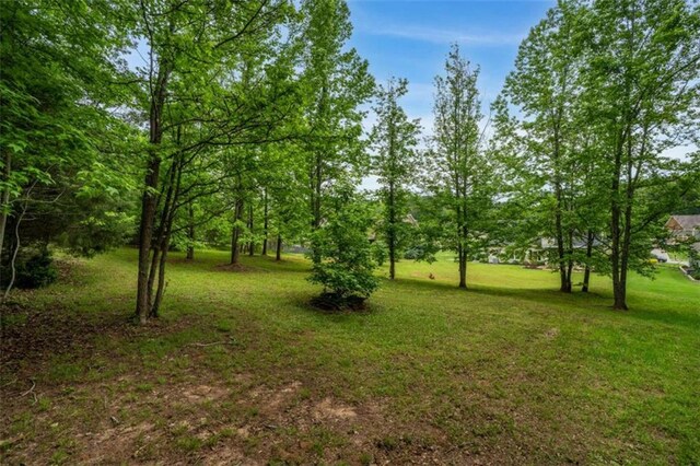 view of grassy yard