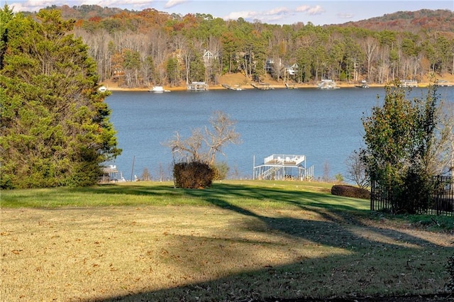 4252 Tall Hickory Trl, Gainesville, GA 30506 - water view featuring a heavily wooded area