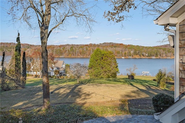 4252 Tall Hickory Trl, Gainesville, GA 30506 - view of yard with a water view and a wooded view