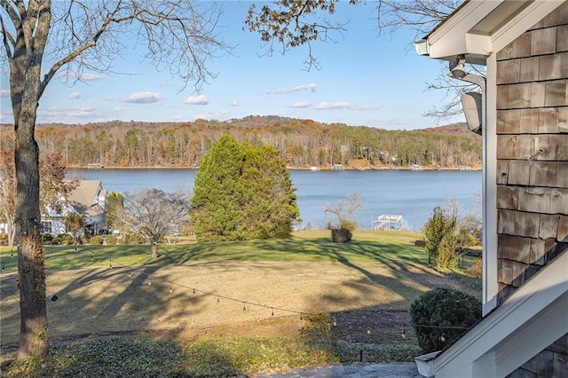4252 Tall Hickory Trl, Gainesville, GA 30506 - water view with a heavily wooded area