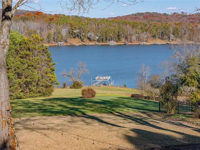 4252 Tall Hickory Trl, Gainesville, GA 30506 - water view with a heavily wooded area