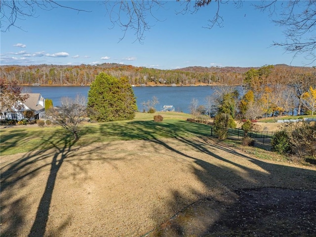 4252 Tall Hickory Trl, Gainesville, GA 30506 - water view