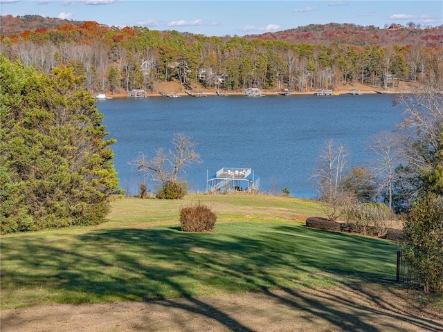 4252 Tall Hickory Trl, Gainesville, GA 30506 - water view with a heavily wooded area