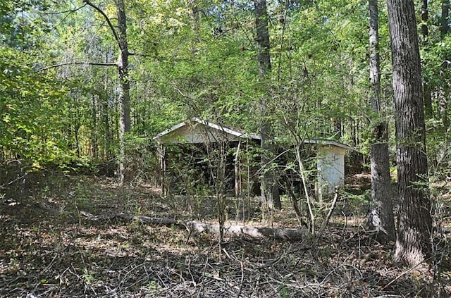 view of local wilderness