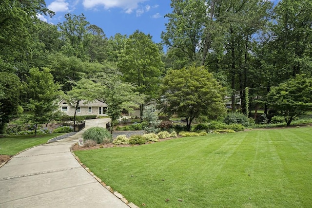7265 Hunters Branch Dr, Sandy Springs, GA 30328 - view of green lawn