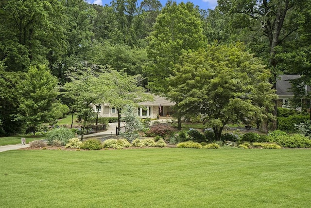 7265 Hunters Branch Dr, Sandy Springs, GA 30328 - view of grassy yard