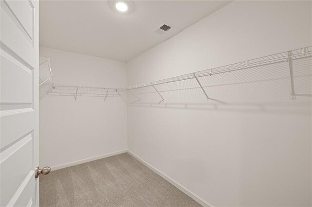 carpeted spare room featuring a tray ceiling and ceiling fan