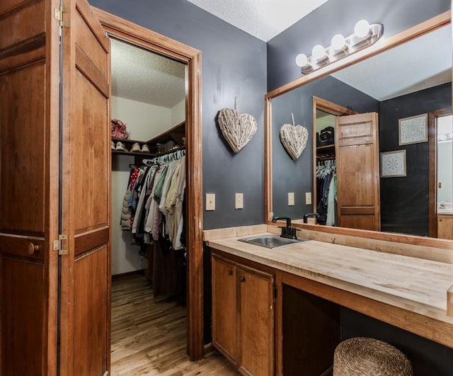 750 Jett Roberts Rd, Jefferson, GA 30549 - bathroom featuring wood finished floors, a textured ceiling, vanity, and a spacious closet