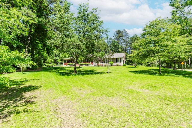 750 Jett Roberts Rd, Jefferson, GA 30549 - view of green lawn
