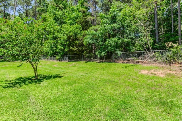 750 Jett Roberts Rd, Jefferson, GA 30549 - view of yard