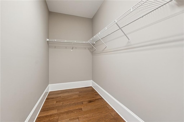 walk in closet featuring dark hardwood / wood-style flooring