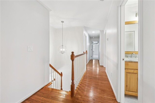 empty room featuring ceiling fan, crown molding, and wood-type flooring