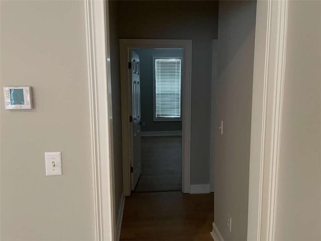 hallway featuring dark hardwood / wood-style flooring