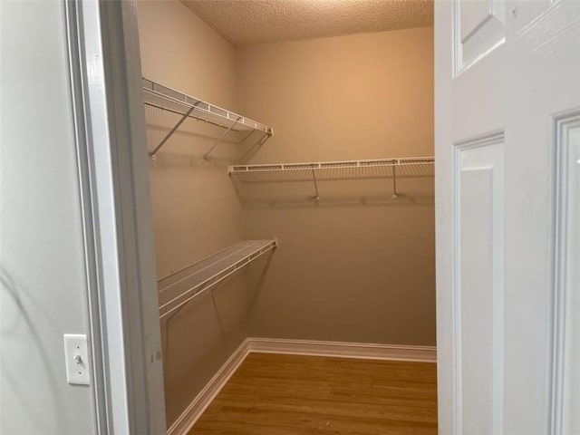 spacious closet with wood-type flooring