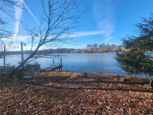 85 Lang Cir, Covington, GA 30014 - water view