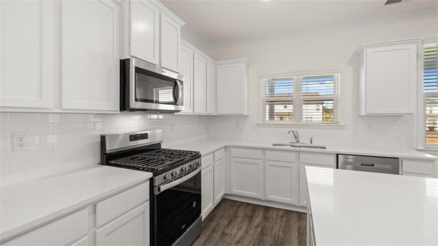 1149 Blue Juniper Cir, Loganville, GA 30052 - kitchen with appliances with stainless steel finishes, a sink, crown molding, light countertops, and white cabinets