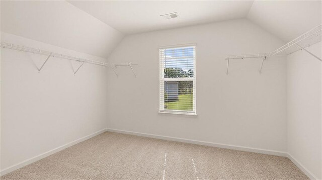 1149 Blue Juniper Cir, Loganville, GA 30052 - walk in closet with lofted ceiling and carpet